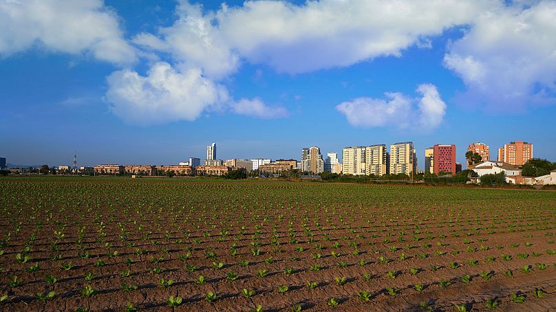 Agricultural fields and skyline of Valencia, Spain