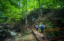 Hiking