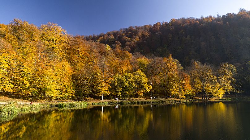 Parksee, Dilidschan