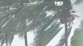 Los vientos provocaron que las palmeras tuvieran que sufrir para mantenerse en pie.