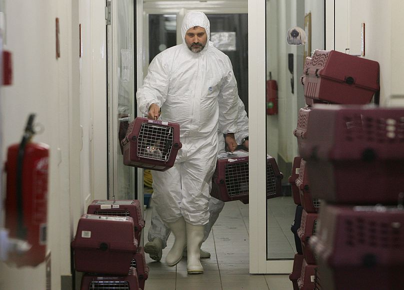 Kötelező beltéri állattartással próbál védekezni Ausztria négy régióban a madárinfluenza ellen