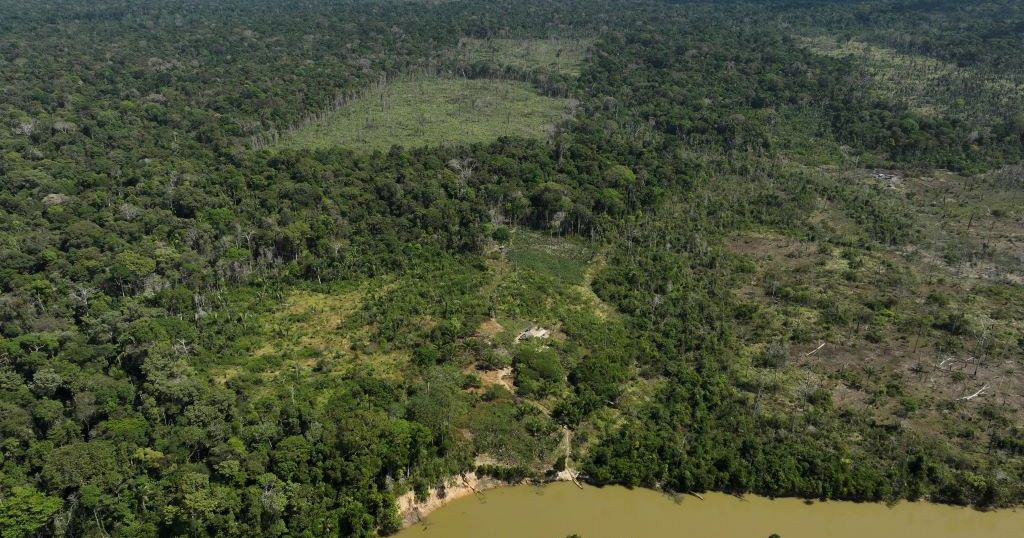 Deforestation in Brazil’s Amazon drops by nearly 31%