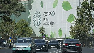 COP29 : objectif, financement de la lutte contre les effets du climat