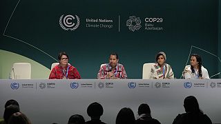 COP29 : ouverture en Azerbaïdjan d'un sommet crucial pour le climat