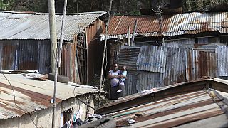 Initiative in Nairobi's Mukuru slums uses fly lavae to tackle food waste 