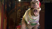 No Comment : Tyrannosaure Rex, un mannequin pas comme les autres