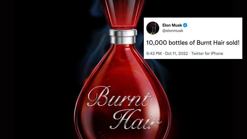 Broken vows, perfume and erotica: The strangest Elon Musk facts you may ...