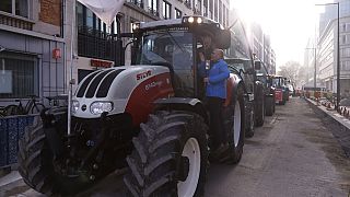 Agricoltori guidano i trattori verso durante una manifestazione a Bruxelles, Belgio, il 13 novembre 2024