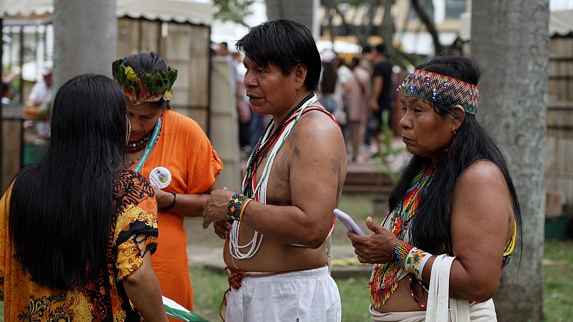 At COP16, representatives of Indigenous peoples were granted official recognition as defenders of nature