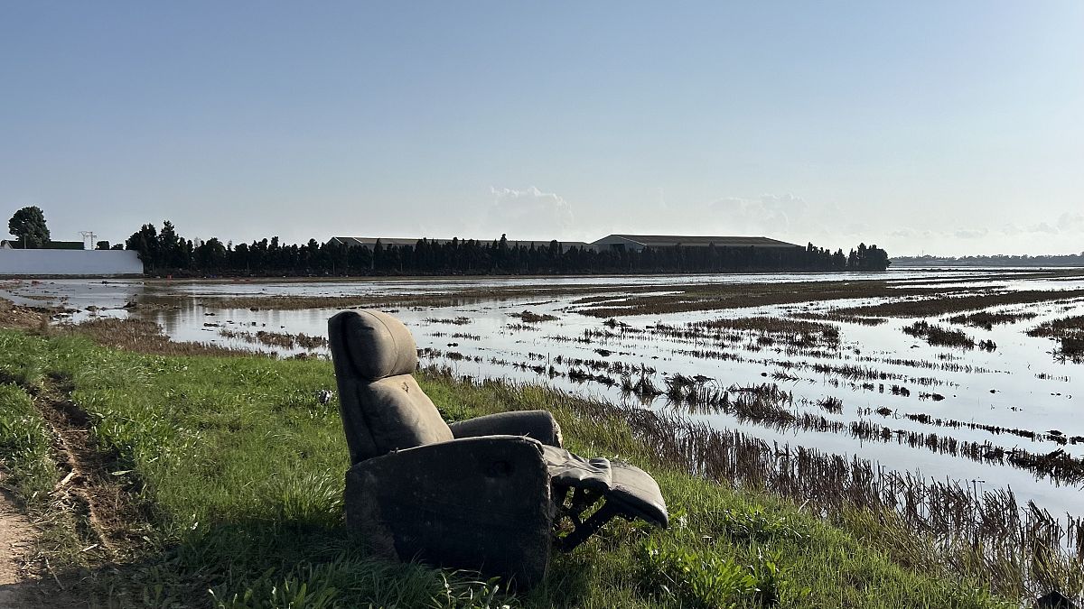 Albufera: The environmental victim of València’s tragic floods