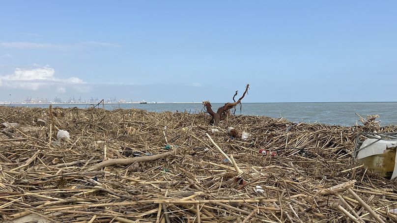 Albufera's beaches remain covered in debris