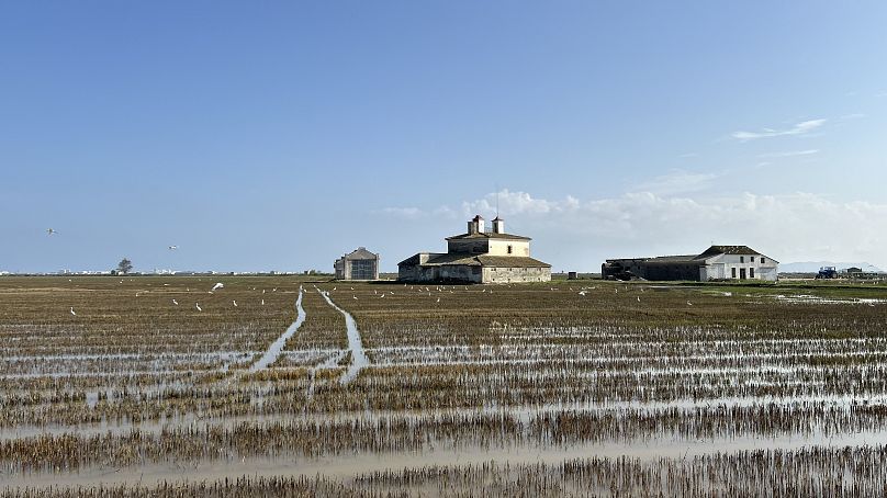 Albufera has been devastated by the floods