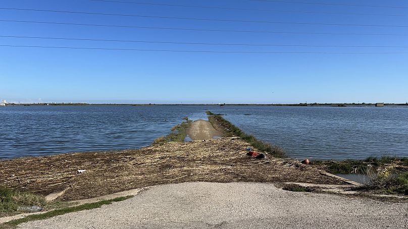 Roads in Albufera remain flooded and inaccessible