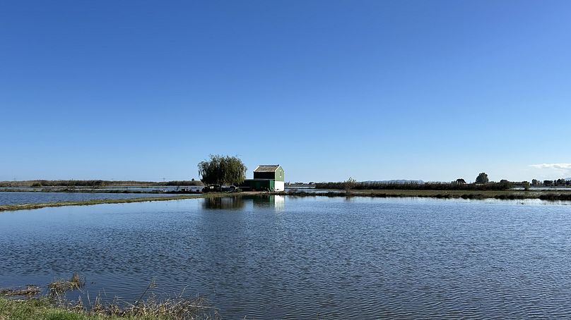 The water is yet to subside in parts of Albufera