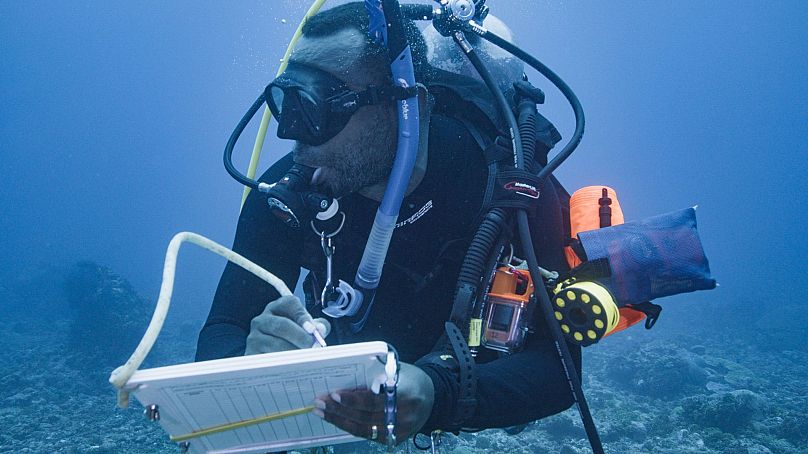 Ronnie Posala collects data on a dive on the expedition in the Solomon Islands. 