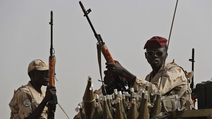 French weapons used in Sudan war despite UN arms embargo, Amnesty says