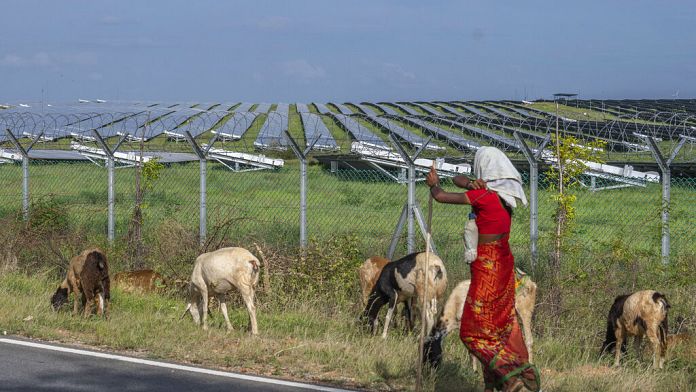 COP29: È realistico raggiungere le emissioni nette zero?