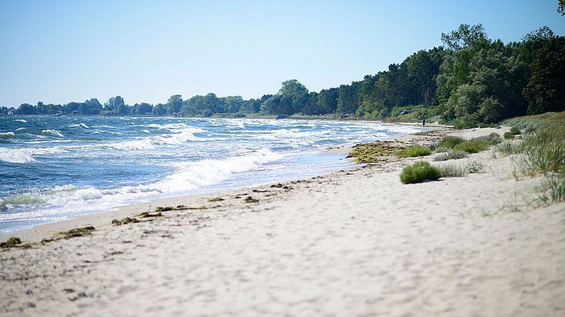 An uncrowded beach in southern Sweden