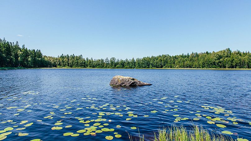 A Swedish lake glistens in the summer sun