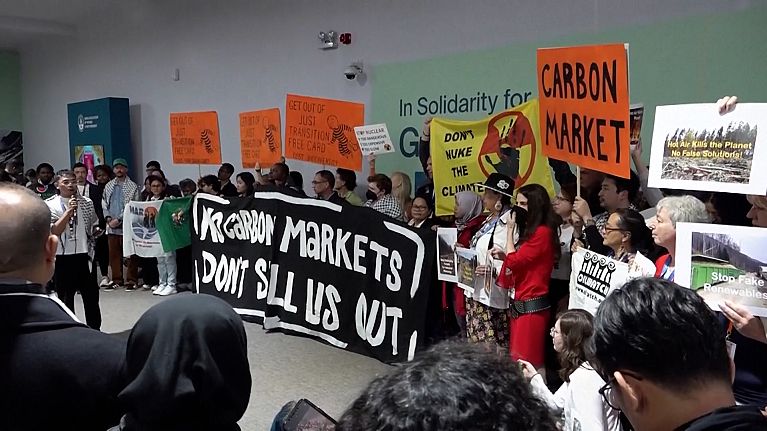 “No Carbon Markets” demonstration “No Carbon Markets” demonstration