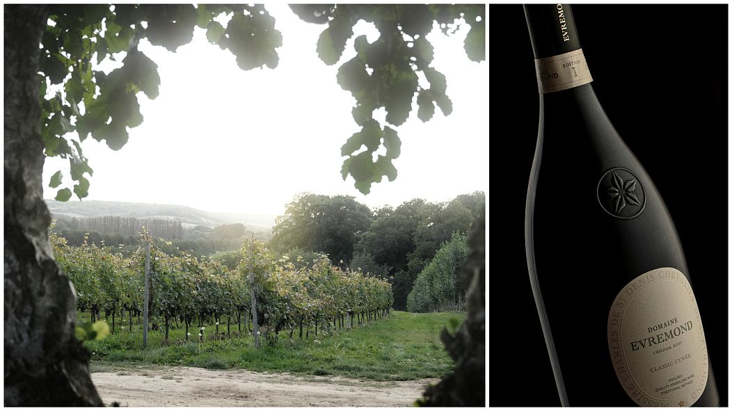 Sunlight bathes the vines in Chilham / The Classic Cuvée with Evremond's cinquefoil