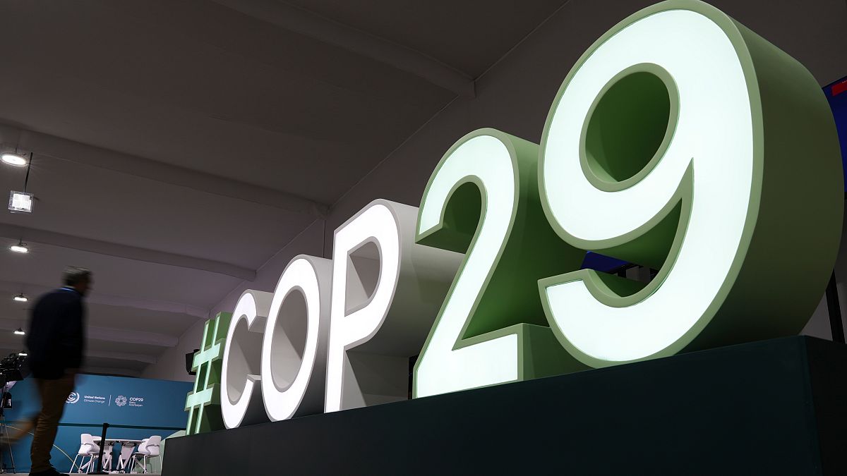 &#039;Finance Day&#039; at COP29 galvanises debate about numbers, sees first activists&#039; protests | Euronews