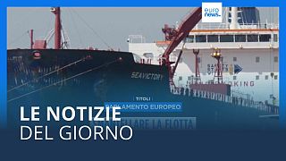 Le notizie del giorno | 14 novembre - Serale