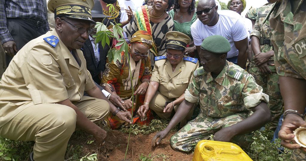 Mali’s former environment minister launches plan to protect forests