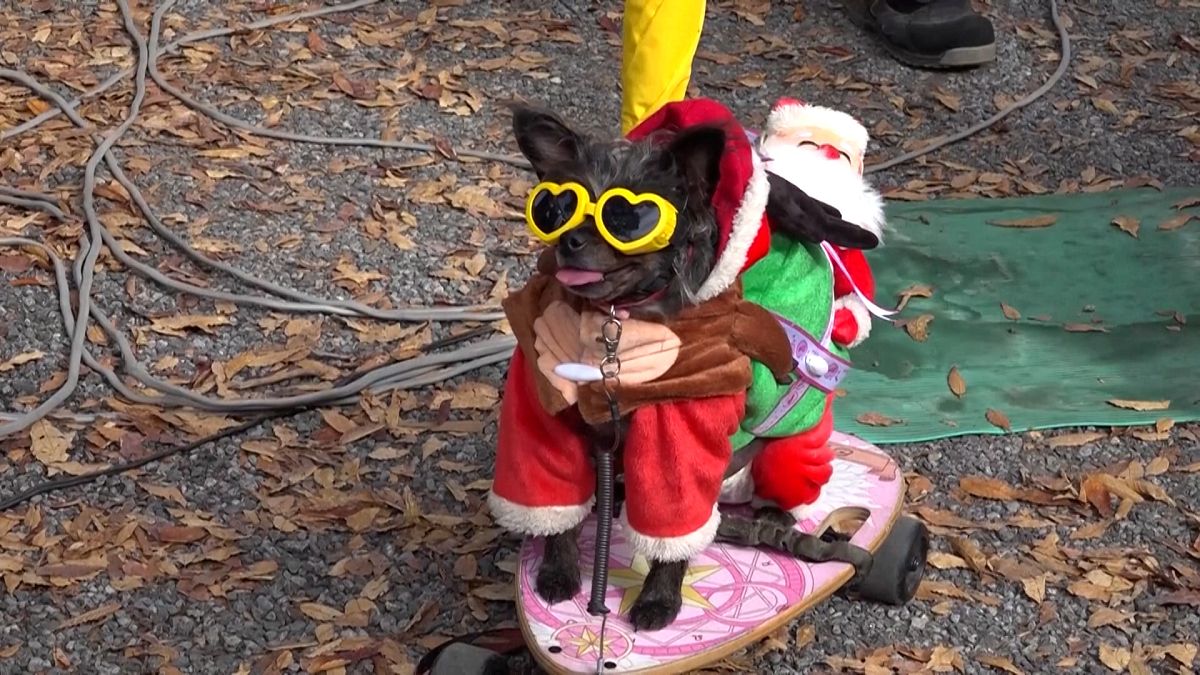 Santa Claus arrives in Tokyo to raise funds for sick children