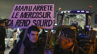 Le manifestazioni organizzate dagli agricoltori in Francia