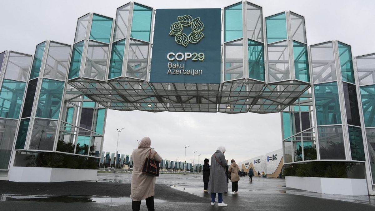 Climate finance takes centre stage at COP29