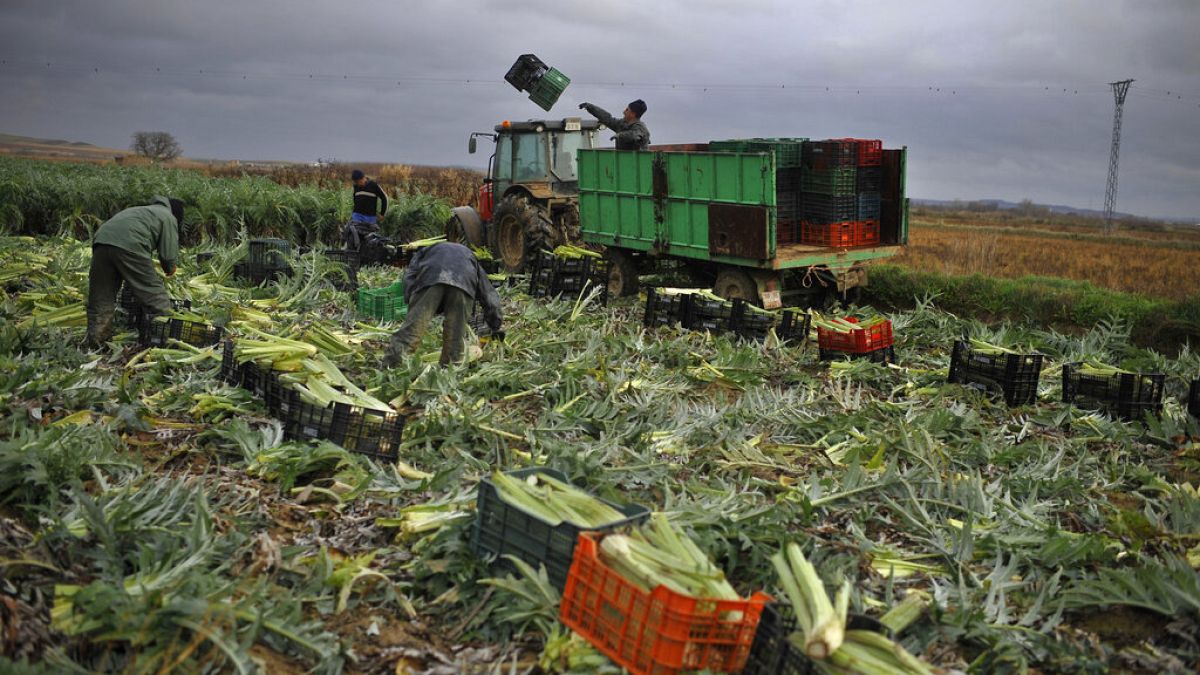 Spanish farmers lash out against Mercosur: “They will end European agr