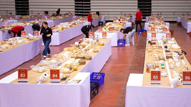 Some 4,786 cheeses were tested by judges