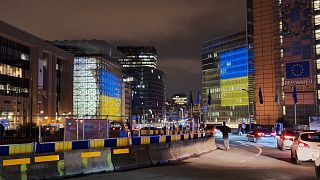 Ukrainian flags displayed on EU Commission, 18 November, 2024.