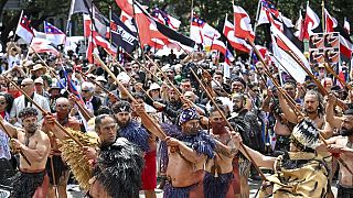 Tens of thousands rally in New Zealand in support of Māori rights