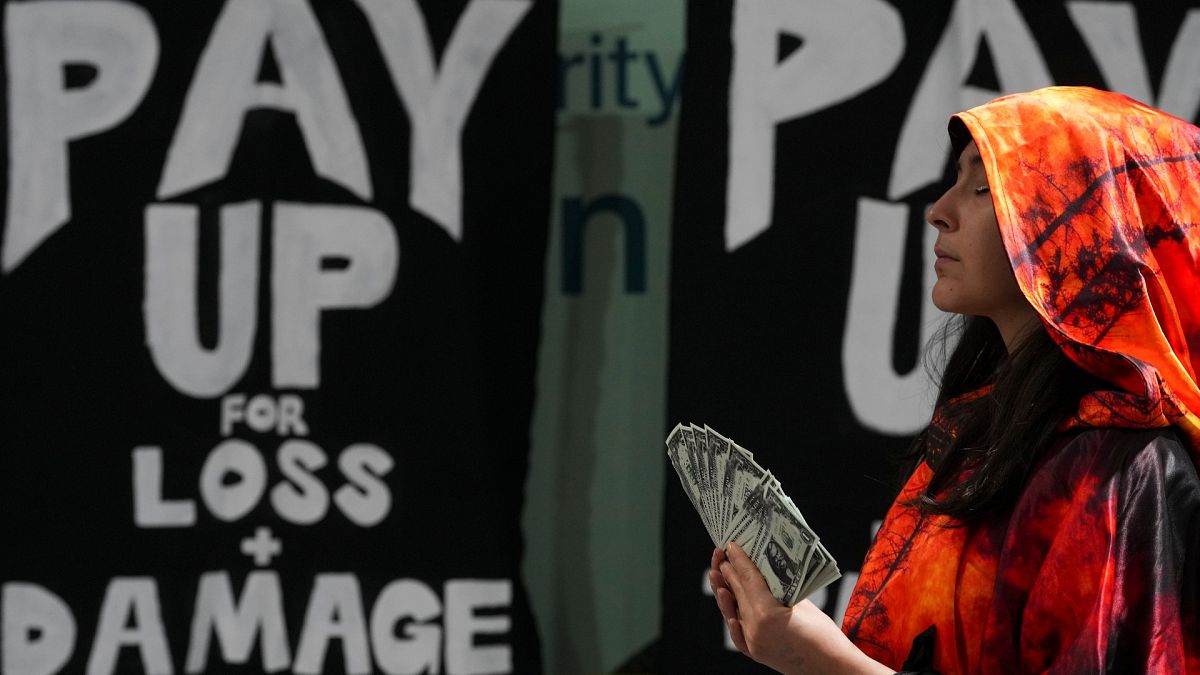 COP29: What's happening on day nine of the UN climate conference?
