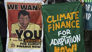 COP29: Activists call on rich polluters to pay, urge Global South delegates to stand firm