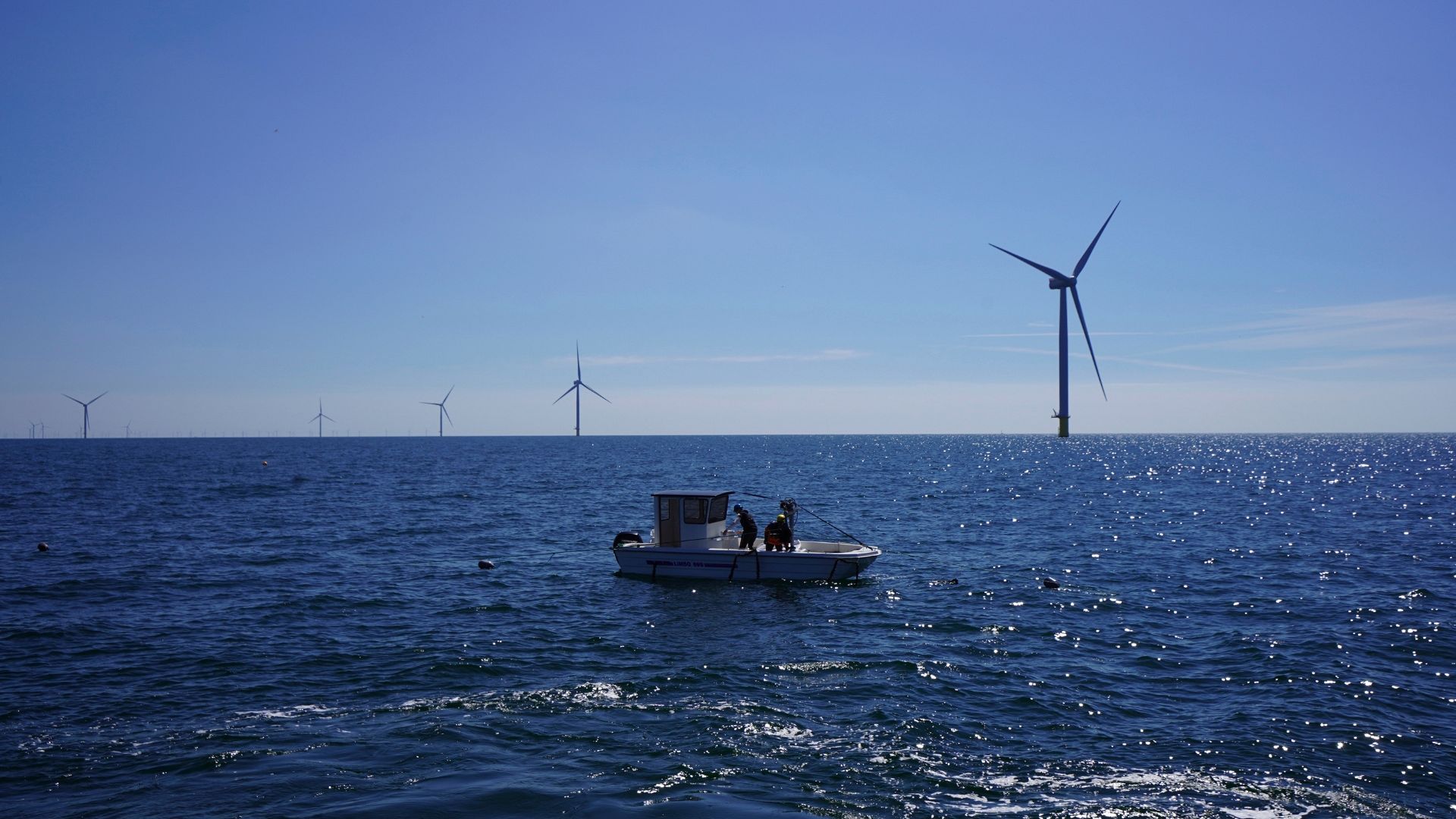 DENMARK world’s greenest country 🏆🥳