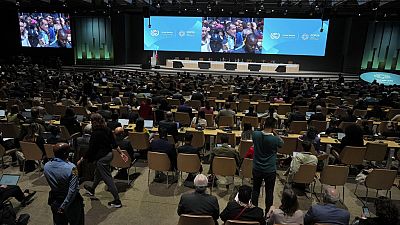 Activists participate in a demonstration for climate finance. 