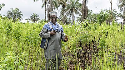 La Sierra Leone veut réduire sa dépendance aux importations de riz