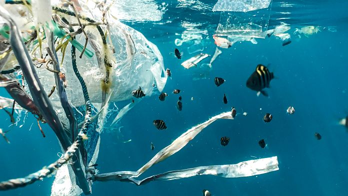 Global Plastic Treaty: Talks begin to finalise deal for curbing plastic pollution