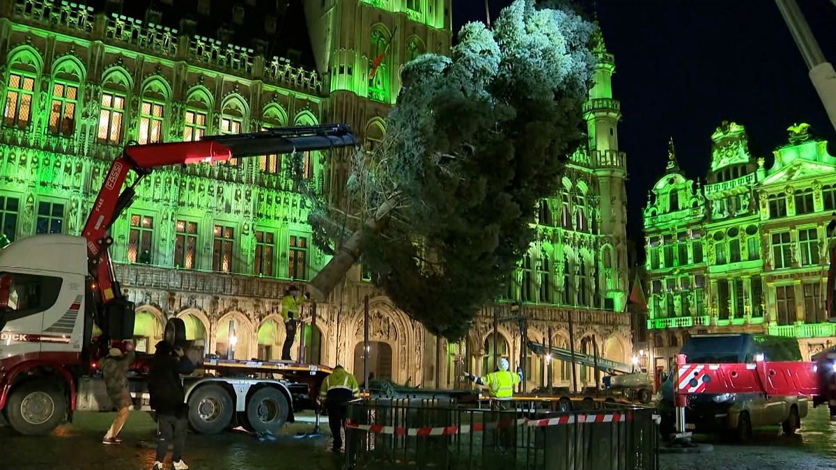 Workers put up a 20-meter tall Christmas tree in Grand Place in Brussels