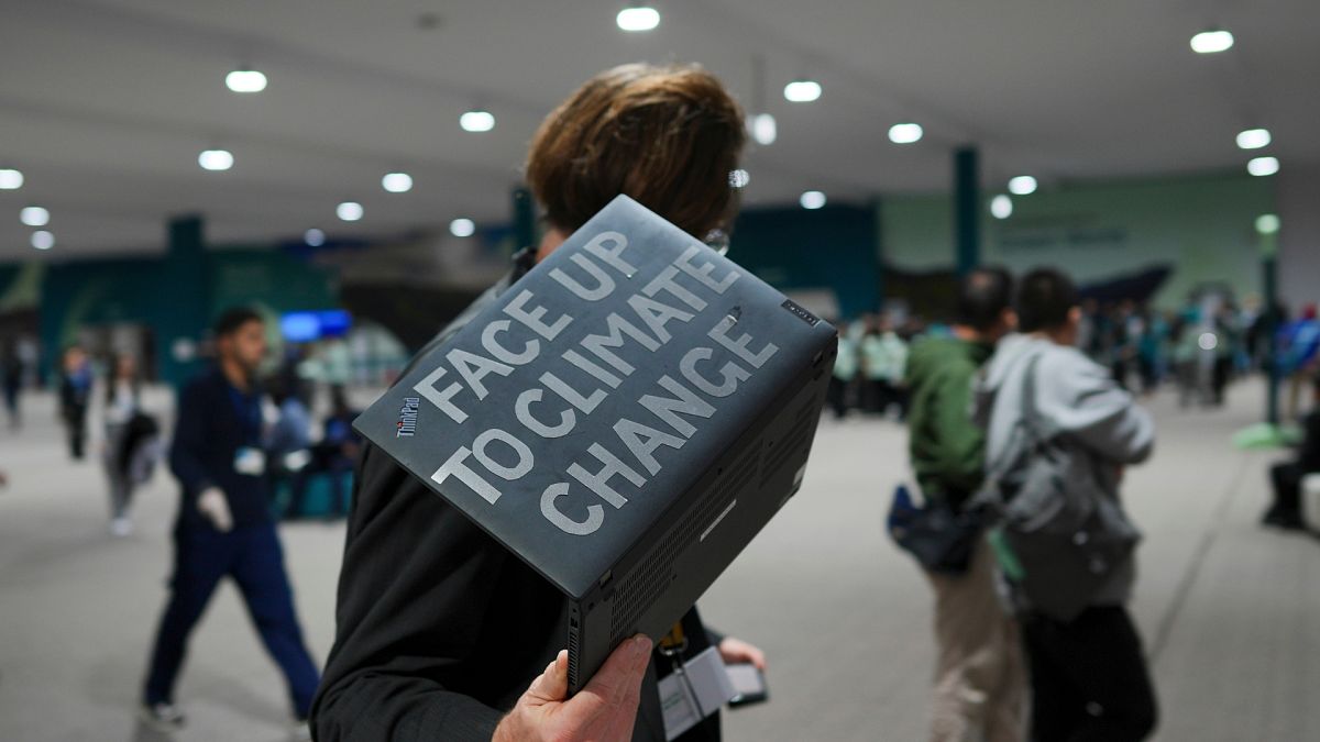 COP29: What Happened On Day 11 Of The UN Climate Conference? | Euronews