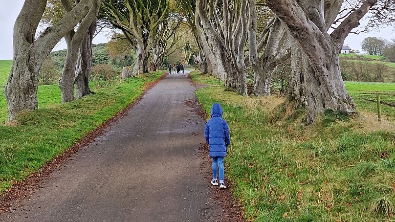 Via dalla folla - il famoso Dark Hedges