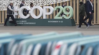 COP29 summit: Anger at ‘meagre’ figure for climate cash