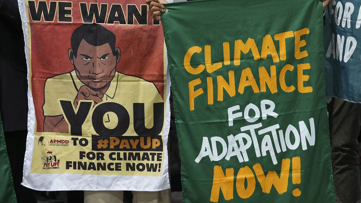 COP29: Summit ends with $300bn a year climate finance deal for developing nations | Euronews