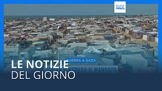 Le notizie del giorno | 23 novembre - Serale