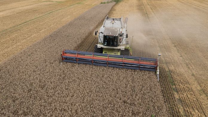 Guerra in Ucraina, Zelensky: "321 strutture portuali danneggiate, a rischio le esportazioni di cereali"