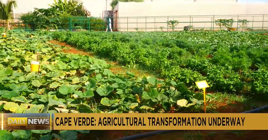 Cape Verde’s agricultural transformation: From drought to innovation