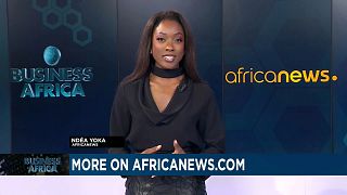 CAR: Post-Embargo, Diamonds face a crucial future [Business Africa]